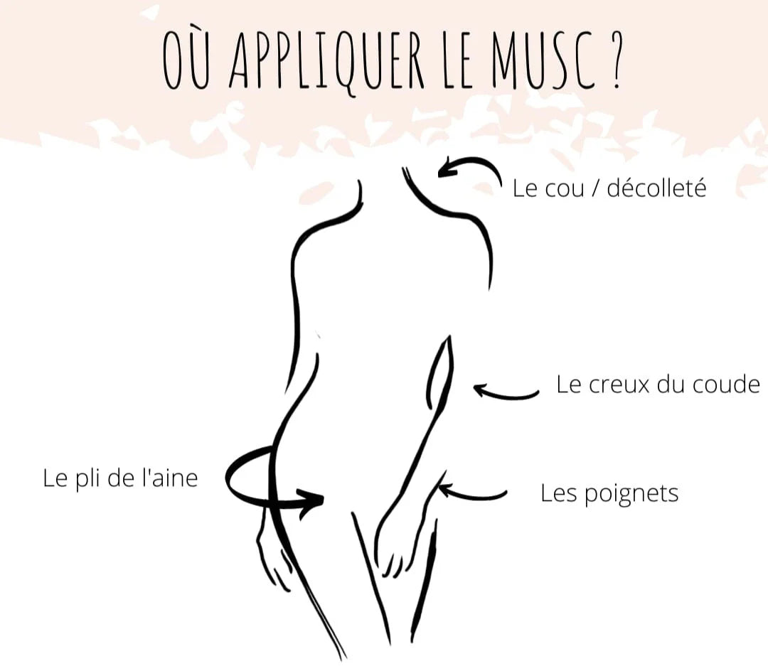 MUSC TAHARA | BARBE À PAPA